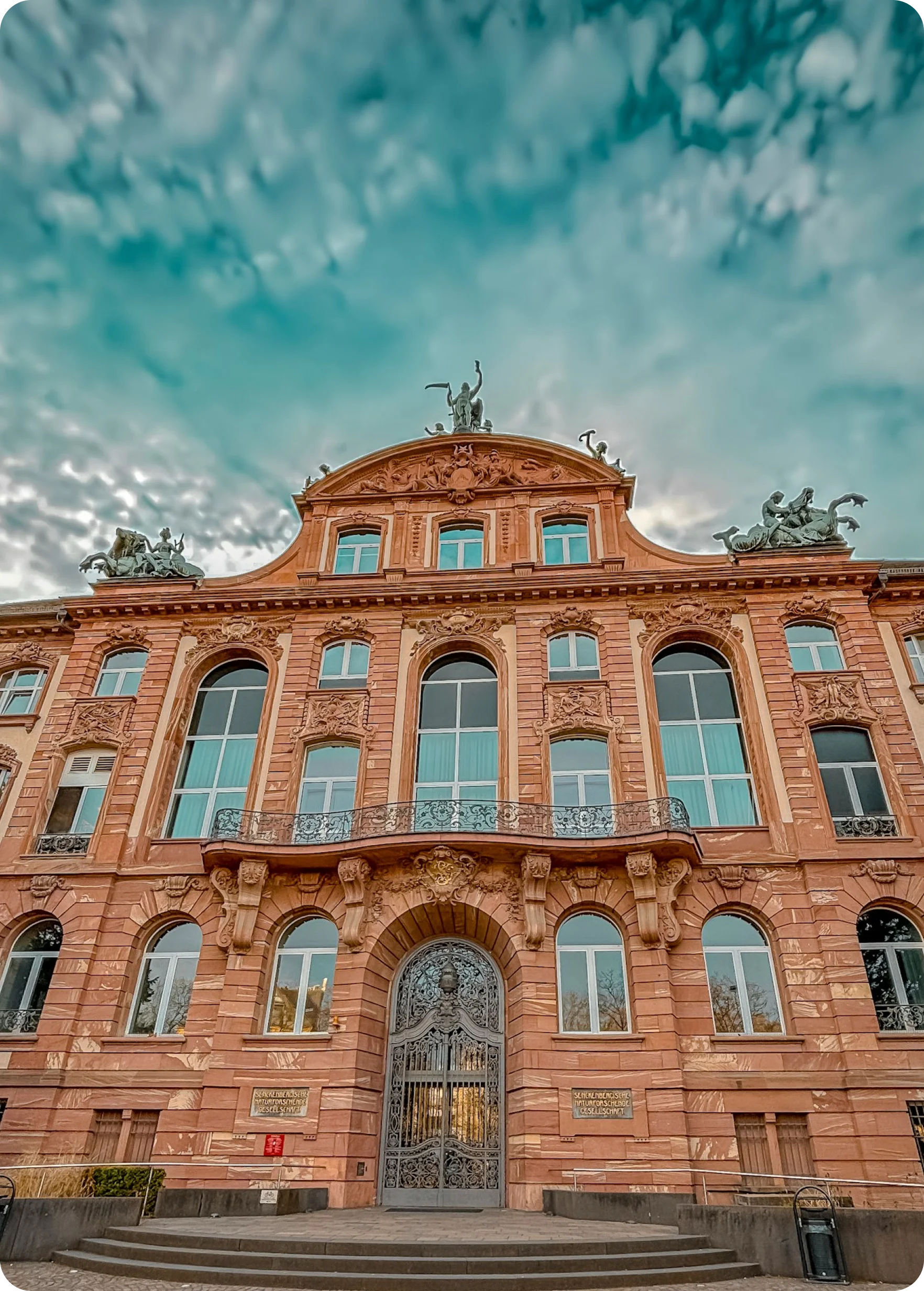 Science and engineering bachelor programs offered by German universities